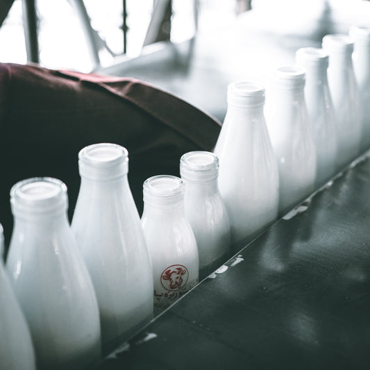 Nourishing benefits of raw milk
