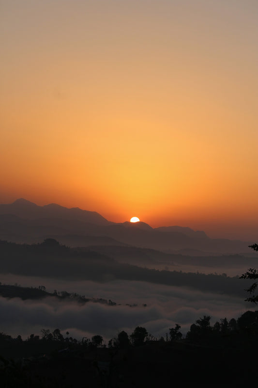 5 Morning Health Habits to incorporate daily