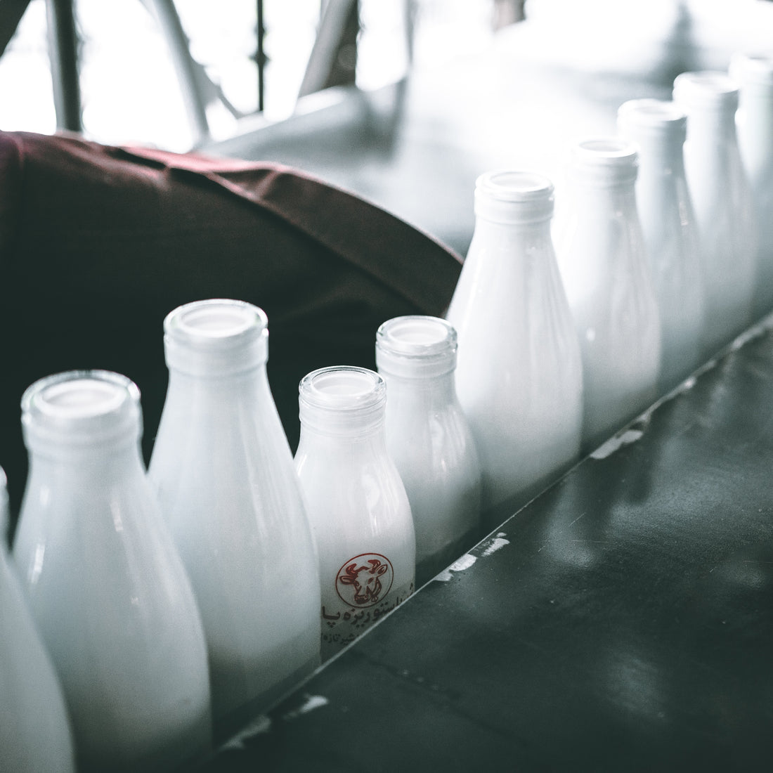 Nourishing benefits of raw milk
