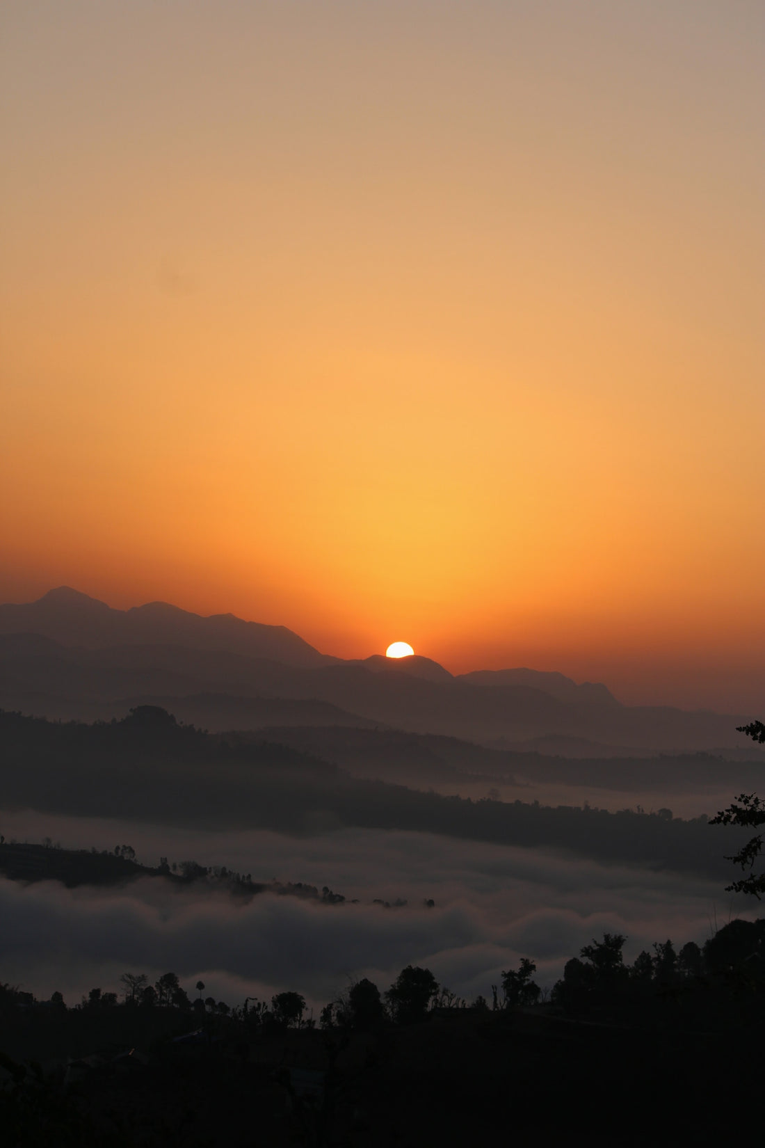 5 Morning Health Habits to incorporate daily