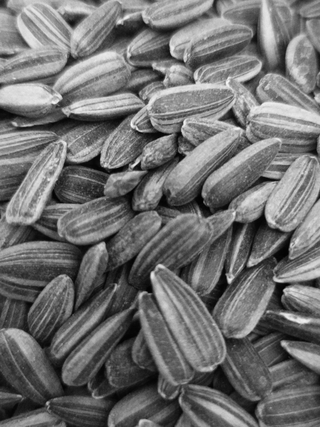 Seed oils