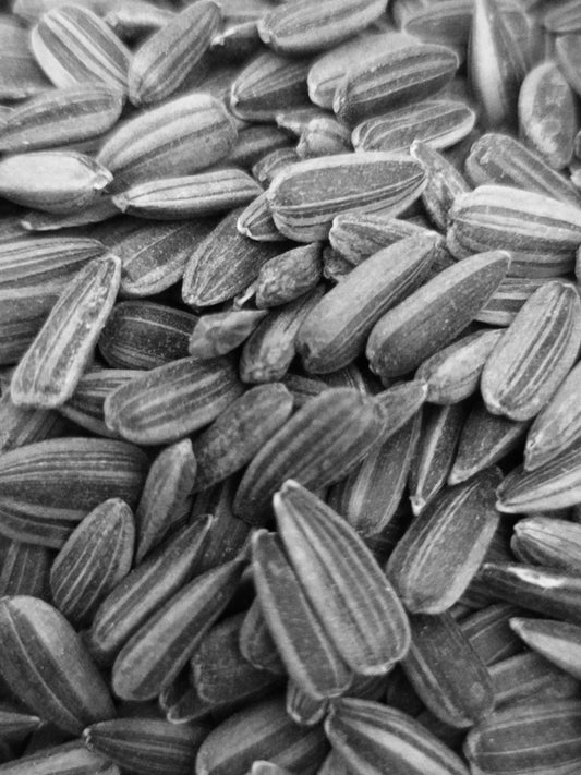 Seed oils